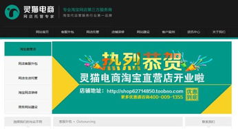 靈貓電商網(wǎng)站建設(shè) 助企業(yè)進(jìn)入電商一臂之力